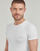 Vêtements Homme T-shirts manches courtes Emporio Armani BOLD MONOGRAM X2 Blanc / Marine