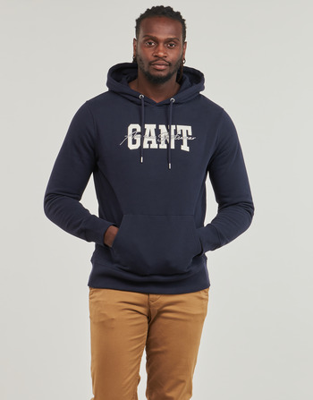 Vêtements Homme Sweats Gant ARCH SCRIPT HOODIE Marine