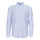 Vêtements Homme Chemises manches longues Gant REG POPLIN STRIPE SHIRT Blanc / Bleu