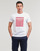 Vêtements Homme T-shirts manches courtes Esprit OCS LOGO STRIPE Blanc