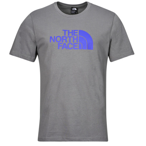 Vêtements Homme T-shirts manches courtes The North Face S/S EASY TEE Gris