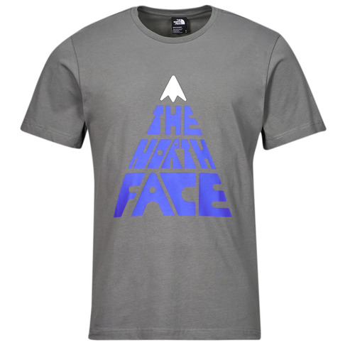 Vêtements Homme T-shirts manches courtes The North Face MOUNTAIN Gris