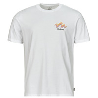 Vêtements Homme T-shirts manches courtes Billabong SEGMENT SS Blanc