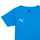Vêtements Garçon T-shirts manches courtes Puma TEAMRISE MATCH DAY Bleu