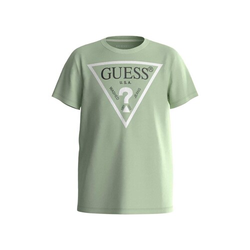 Vêtements Garçon T-shirts manches courtes Guess SHIRT CORE Vert