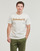 Vêtements Homme T-shirts manches courtes Timberland Linear Logo Short Sleeve Tee Blanc