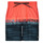 Vêtements Homme Maillots / Shorts de bain Quiksilver EVERYDAY WORDBLOCK VOLLEY 17 Bleu / Rouge