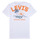 Vêtements Garçon T-shirts manches courtes Levi's SCENIC SUMMER TEE Multicolore / Blanc