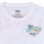Vêtements Garçon T-shirts manches courtes Levi's SCENIC SUMMER TEE Multicolore / Blanc
