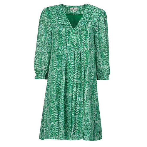 Vêtements Femme Robes courtes Freeman T.Porter JUNA TIGREA Vert