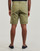 Vêtements Homme Shorts / Bermudas Napapijri NAKURU 6 Kaki