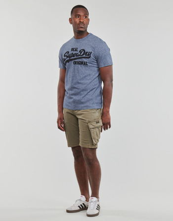 Superdry EMBROIDERED VL T SHIRT Gris