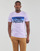 Vêtements Homme T-shirts manches courtes Superdry CALI STRIPED LOGO T SHIRT Violet 