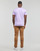 Vêtements Homme T-shirts manches courtes Superdry CALI STRIPED LOGO T SHIRT Violet 