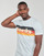 Vêtements Homme T-shirts manches courtes Superdry CALI STRIPED LOGO T SHIRT Blanc