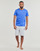 Vêtements Homme Shorts / Bermudas Tommy Hilfiger SHORT HWK Gris