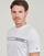 Vêtements Homme T-shirts manches courtes Tommy Hilfiger MONOTYPE STRIPE Blanc
