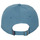Accessoires textile Homme Casquettes Patagonia P-6 LABEL TRAD CAP Bleu