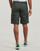 Vêtements Homme Shorts / Bermudas Teddy Smith SYTRO 3 Kaki