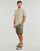 Vêtements Homme Shorts / Bermudas Teddy Smith EROL SH Kaki