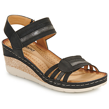 Chaussures Femme Sandales et Nu-pieds Westland SAVOIE 03 Noir