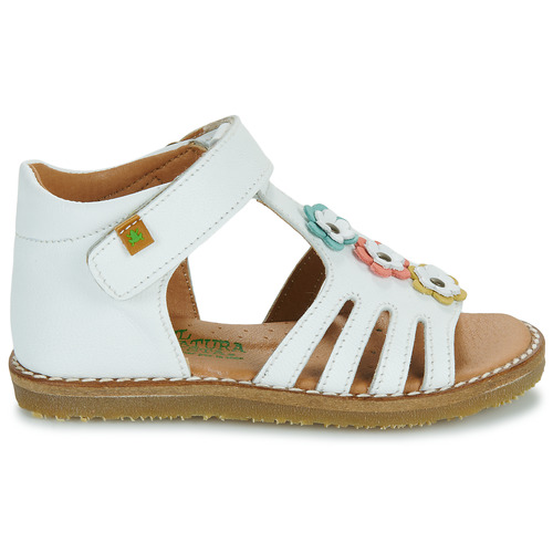 El Naturalista 5354 Blanc