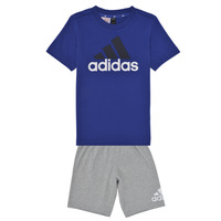 Vêtements Garçon Ensembles de survêtement Adidas Sportswear LK BL CO T SET Bleu / Gris