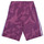Vêtements Fille Shorts / Bermudas Adidas Sportswear LK CAMLOG FT SH Violet