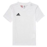 Vêtements Enfant T-shirts manches courtes adidas Performance ENT22 TEE Y Blanc / Noir