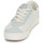 Chaussures Baskets basses Vans SPORT LOW Blanc / Vert