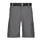 Vêtements Homme Shorts / Bermudas Columbia Silver Ridge Utility Cargo Short Gris