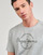 Vêtements Homme T-shirts manches courtes Pepe jeans CRAIGTON Gris