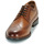 Chaussures Homme Boots Aldo FATISEKFLEXX Marron