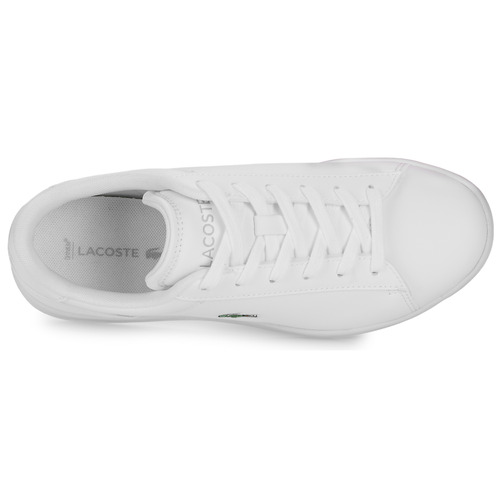 Lacoste CARNABY Blanc