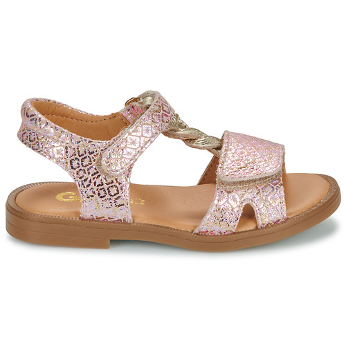GBB FARENA Rose