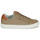 Chaussures Homme Baskets basses Schmoove SPARK CLAY M Taupe