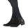 Chaussures Femme Bottines Dune London PANELLA Black